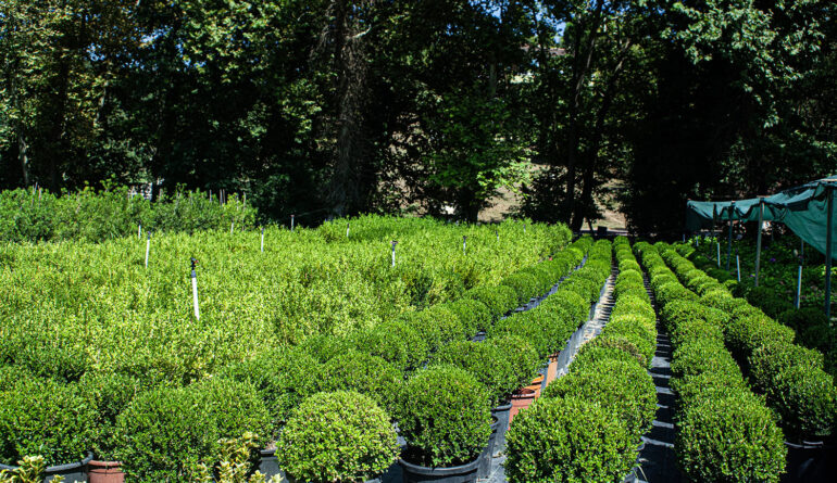 Bakım ve Destek Hizmetleri 1