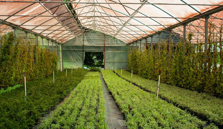 Hızlı ve Güvenilir Teslimat 1