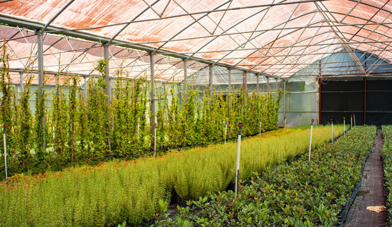 Peyzaj Danışmanlığı Hizmeti 1